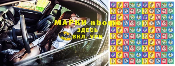 кокс Елизово
