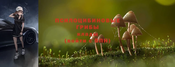 a pvp Дмитриев