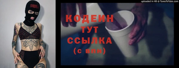 кокс Елизово
